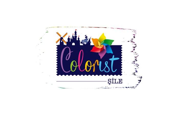Colorist Şile proje görseli