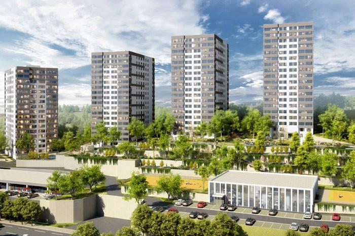 Kaşmir Yonca proje görseli