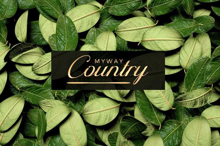 MyWay Counrty proje görseli
