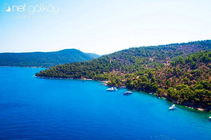 Nef Gölköy proje görseli