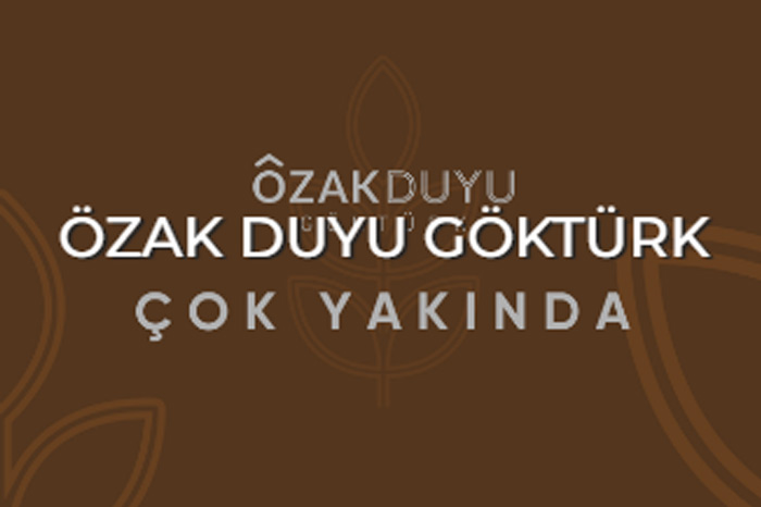 Özak Duyu Göktürk proje görseli