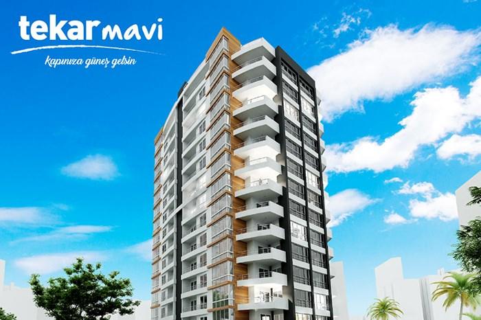 Tekar Mavi proje görseli