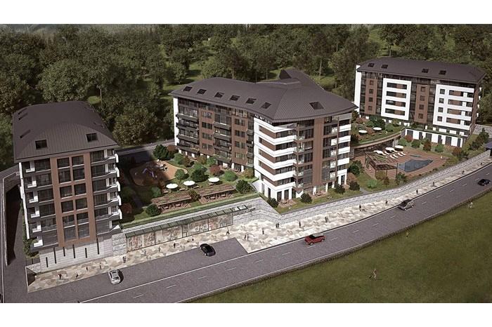 Terrace Koru proje görseli